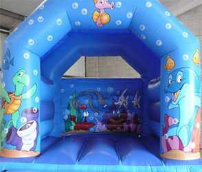 Can you find Nemo?
