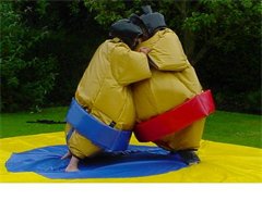 Sumo Wrestling!